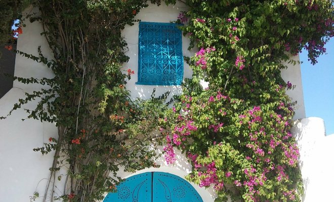 Bahçenizde dekoratif ve rahat bir görünüm yaratabilirsiniz