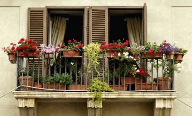 Balkon Çiçekleri