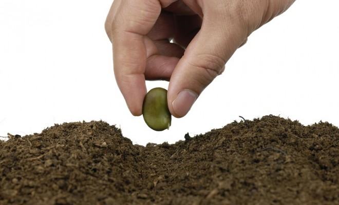 Buğday Derneği’nden Kent Bahçeciliği Eğitimi