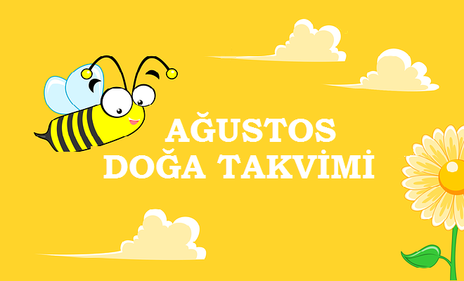 2017 Ağustos Doğa Takvimi