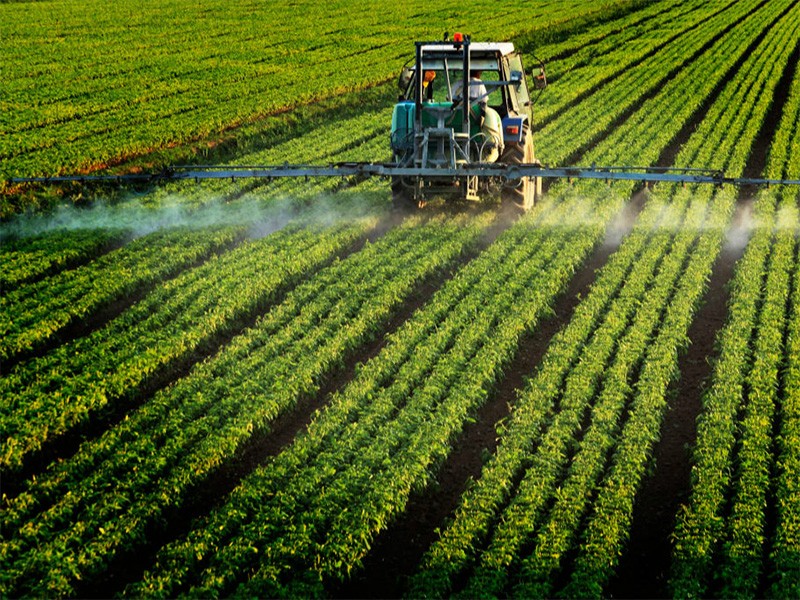 Pestisit Nedir? Zararları Nelerdir? Zehirsiz Sofralar Ağı EvHayat