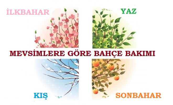 Mevsimlere Göre Bahçe Bakımı Nasıl Yapılmalı?