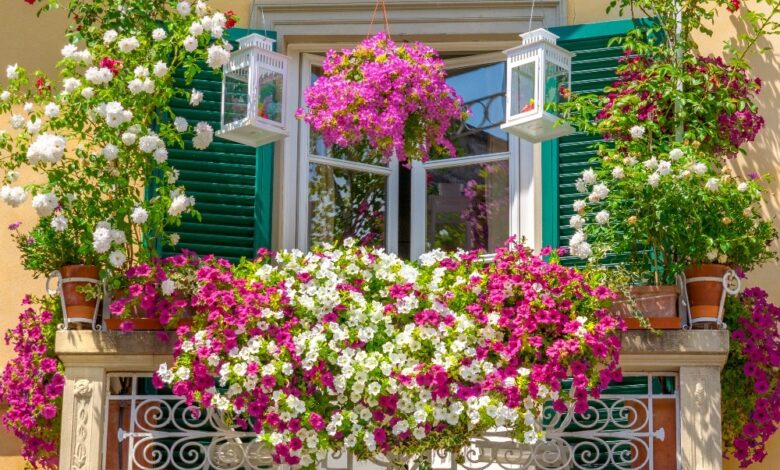 Balkon çiçekleri ile dekorasyon